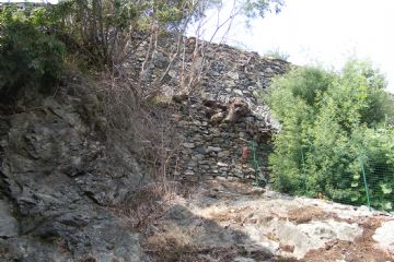Sfoglia la galleria